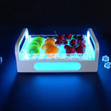 Plateau LED Lumineux Fruits Snacks