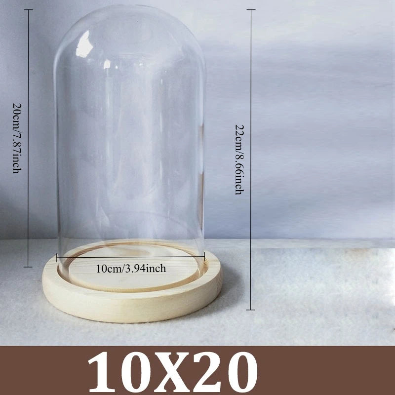 Cúpula de cristal transparente con base de madera maciza, tarro de exhibición para centros de mesa de comedor y decoración de bodas en el hogar u oficina