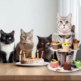 Présentoir Cupcakes Carton Chat Fête
