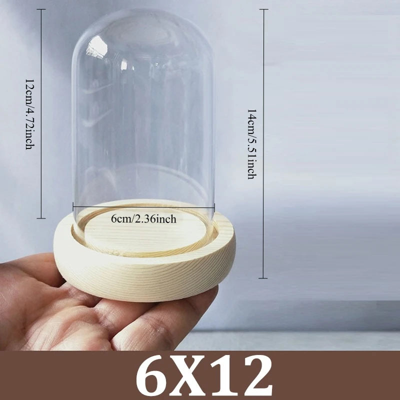 Cúpula de cristal transparente con base de madera maciza, tarro de exhibición para centros de mesa de comedor y decoración de bodas en el hogar u oficina