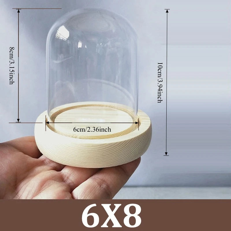 Cúpula de cristal transparente con base de madera maciza, tarro de exhibición para centros de mesa de comedor y decoración de bodas en el hogar u oficina