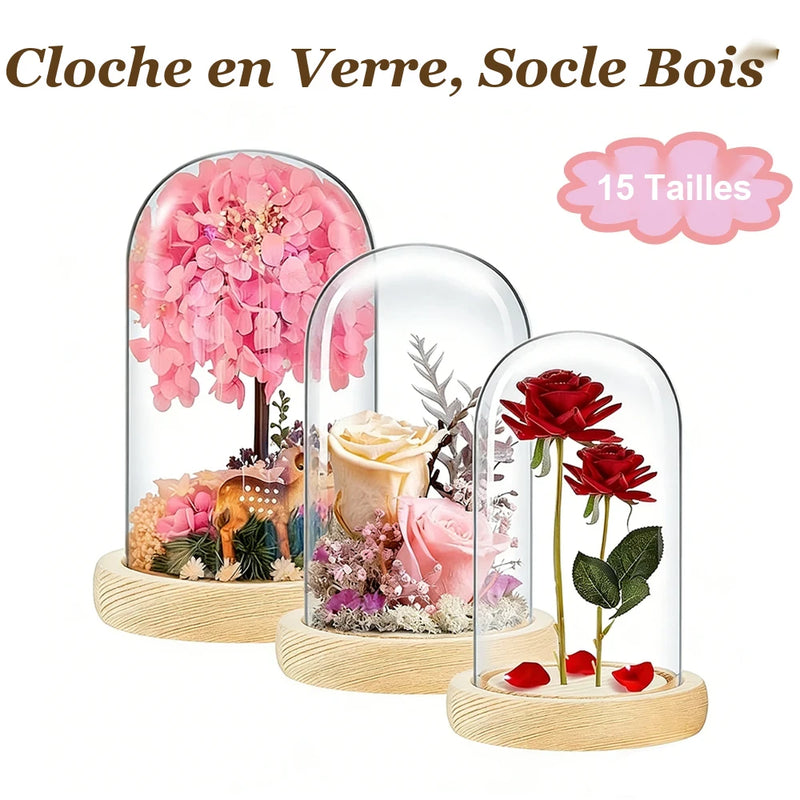 Cúpula de cristal transparente con base de madera maciza, tarro de exhibición para centros de mesa de comedor y decoración de bodas en el hogar u oficina