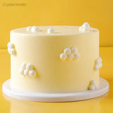 Faux Gâteau Décoratif Présentoir Vitrine