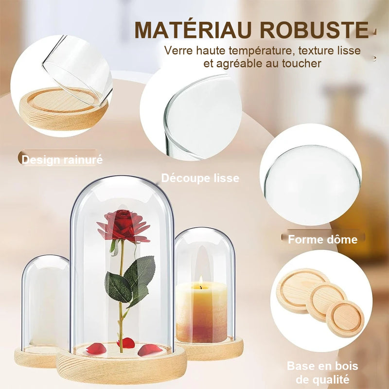 Cúpula de cristal transparente con base de madera maciza, tarro de exhibición para centros de mesa de comedor y decoración de bodas en el hogar u oficina