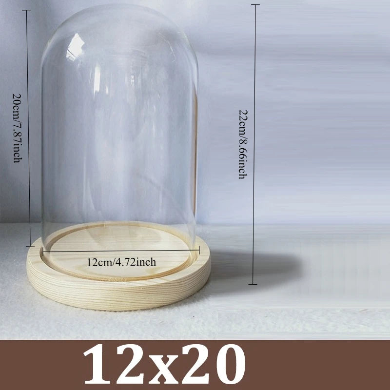 Cúpula de cristal transparente con base de madera maciza, tarro de exhibición para centros de mesa de comedor y decoración de bodas en el hogar u oficina