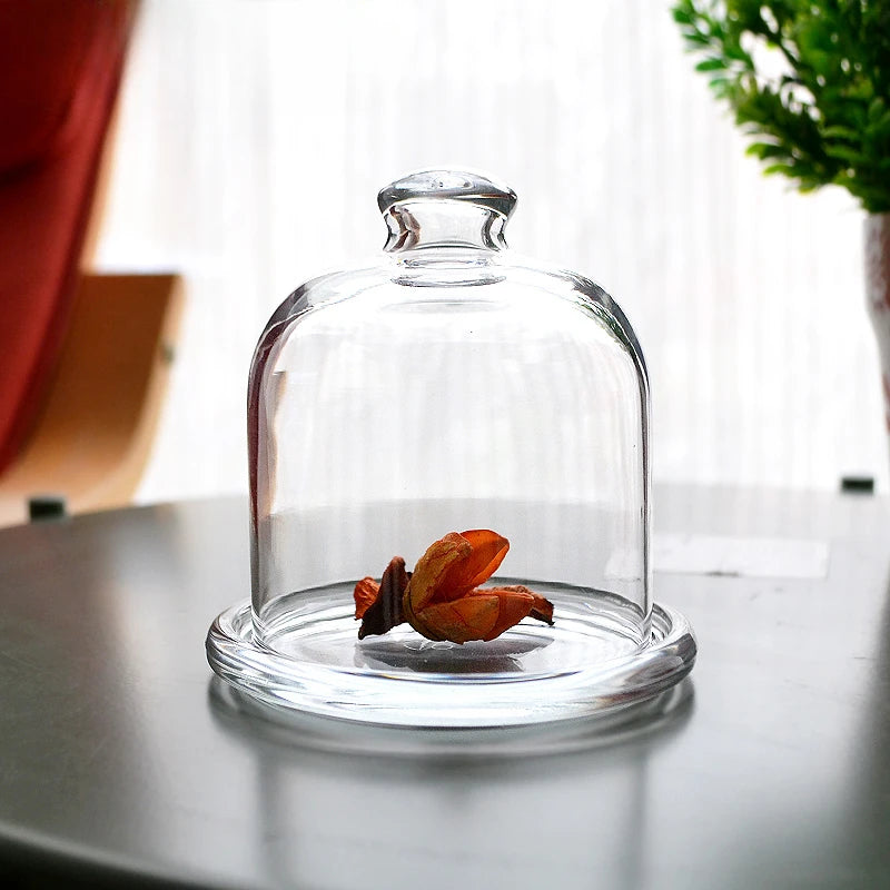 Cloche à Gâteau Verre Transparent Pied Haut