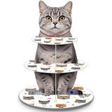 Présentoir Cupcakes Carton Chat Fête