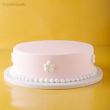Faux Gâteau Décoratif Présentoir Vitrine